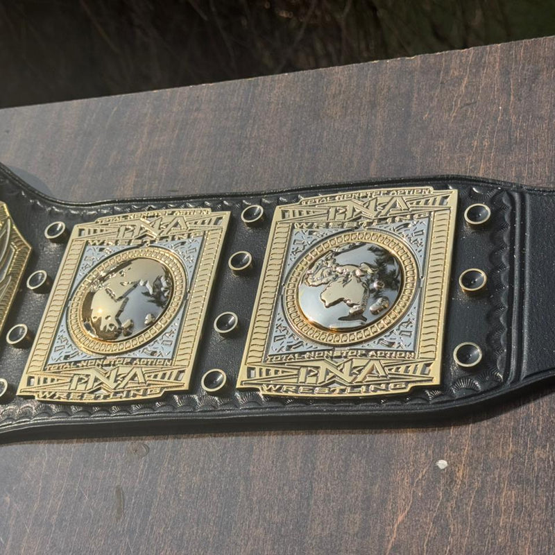TNA World Heavyweight Championship