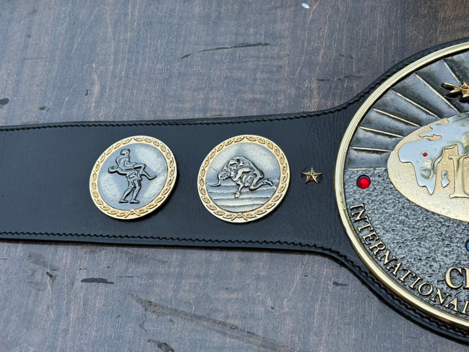 IWGP Tag Team Championship replica belt, side plates and centre plate, photo 3