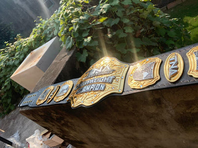 TNA WRESTLING HEAVYWEIGHT CHAMPION BELT