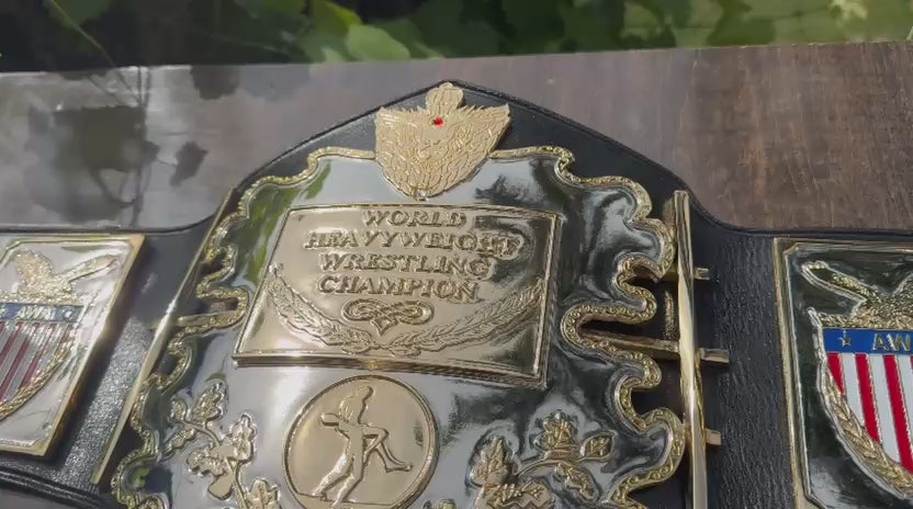 AWA World Heavyweight Championship